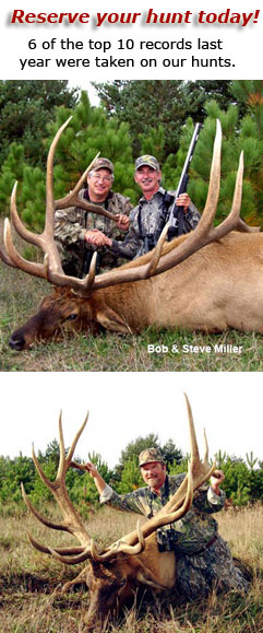 Trophy bull hunts here