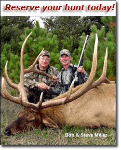 Michigan Elk Hunting of Ludington, MI offers bow, muzzle loader, and rifle hunters with guided bull elk hunts and prized trophy deer with the largest antlers / horns in the USA.