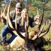 Trophy Elk Pictures