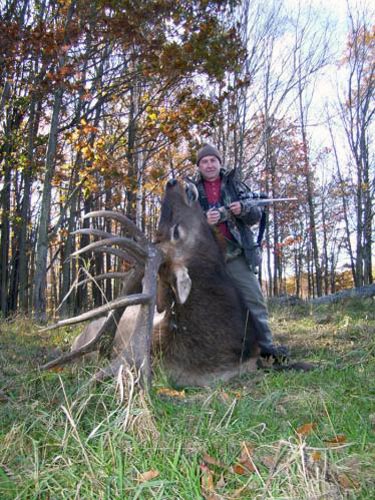 michigan trophy elk image