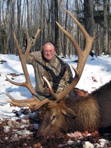 trophy elk