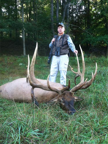huge elk photo