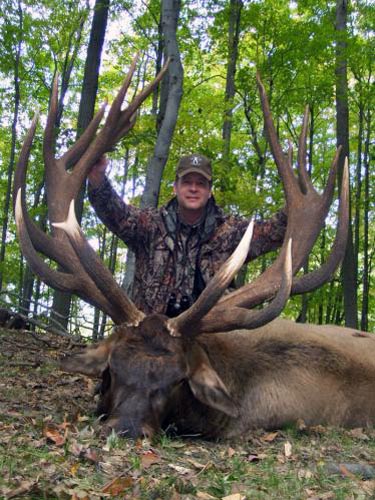 michigan trophy elk picture