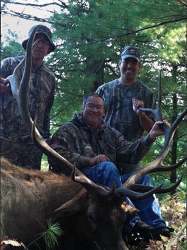 michigan trophy elk photo